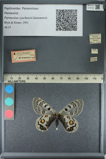 Media type: image;   Entomology 180322